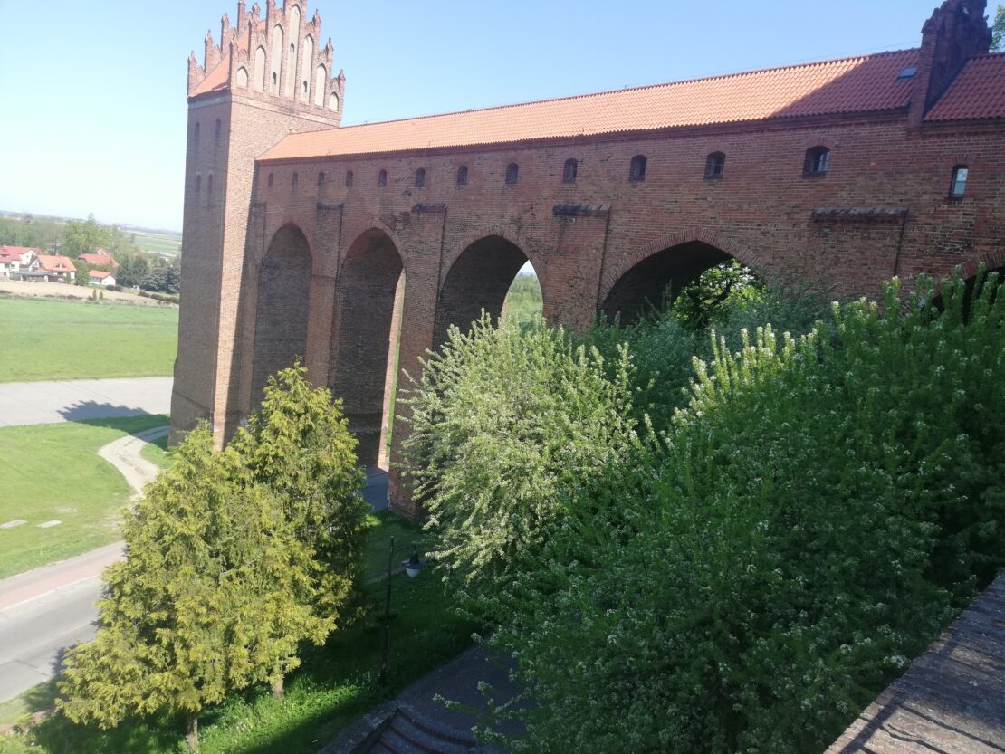 Widok na zamek z góry. Przed zamkiem znajdują się błonia, a przy zamku mamy drzewa